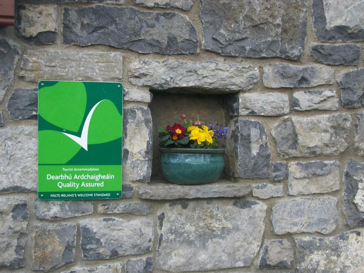 Aille River Tourist Hostel Glamping Doolin Buitenkant foto